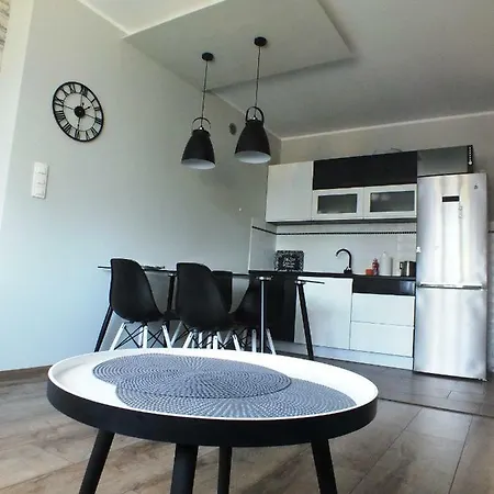 아파트 Apartament Michala 37 포즈난