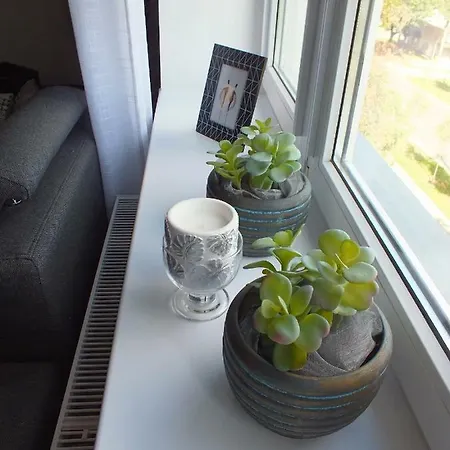 아파트 Apartament Michala 37 *